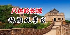鸡巴艹逼免费网站中国北京-八达岭长城旅游风景区